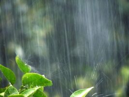 不動産価値はどうなる？「水害」激甚化と自然災害リスクの現実